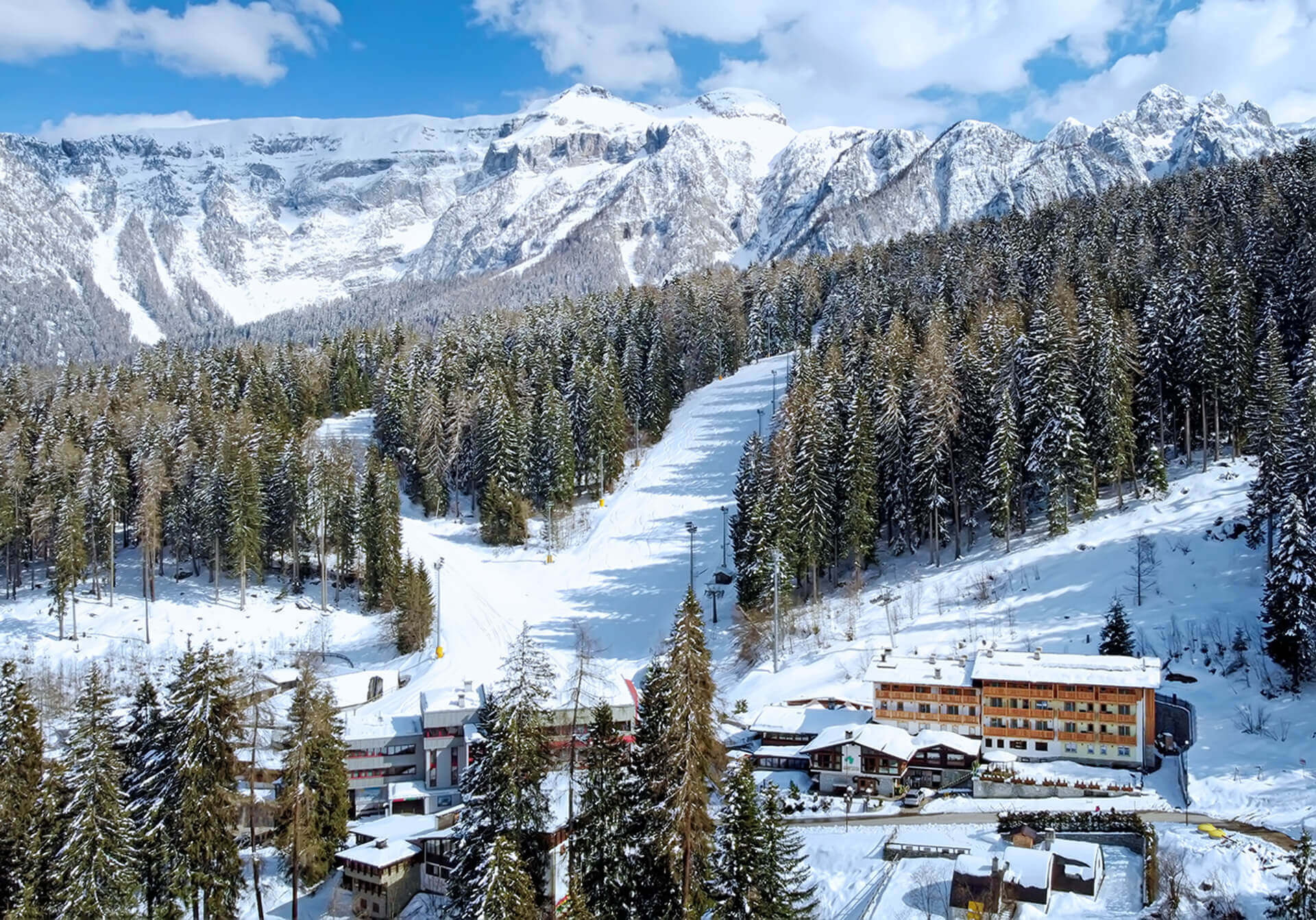 Foto ufficiale Hotel Selva