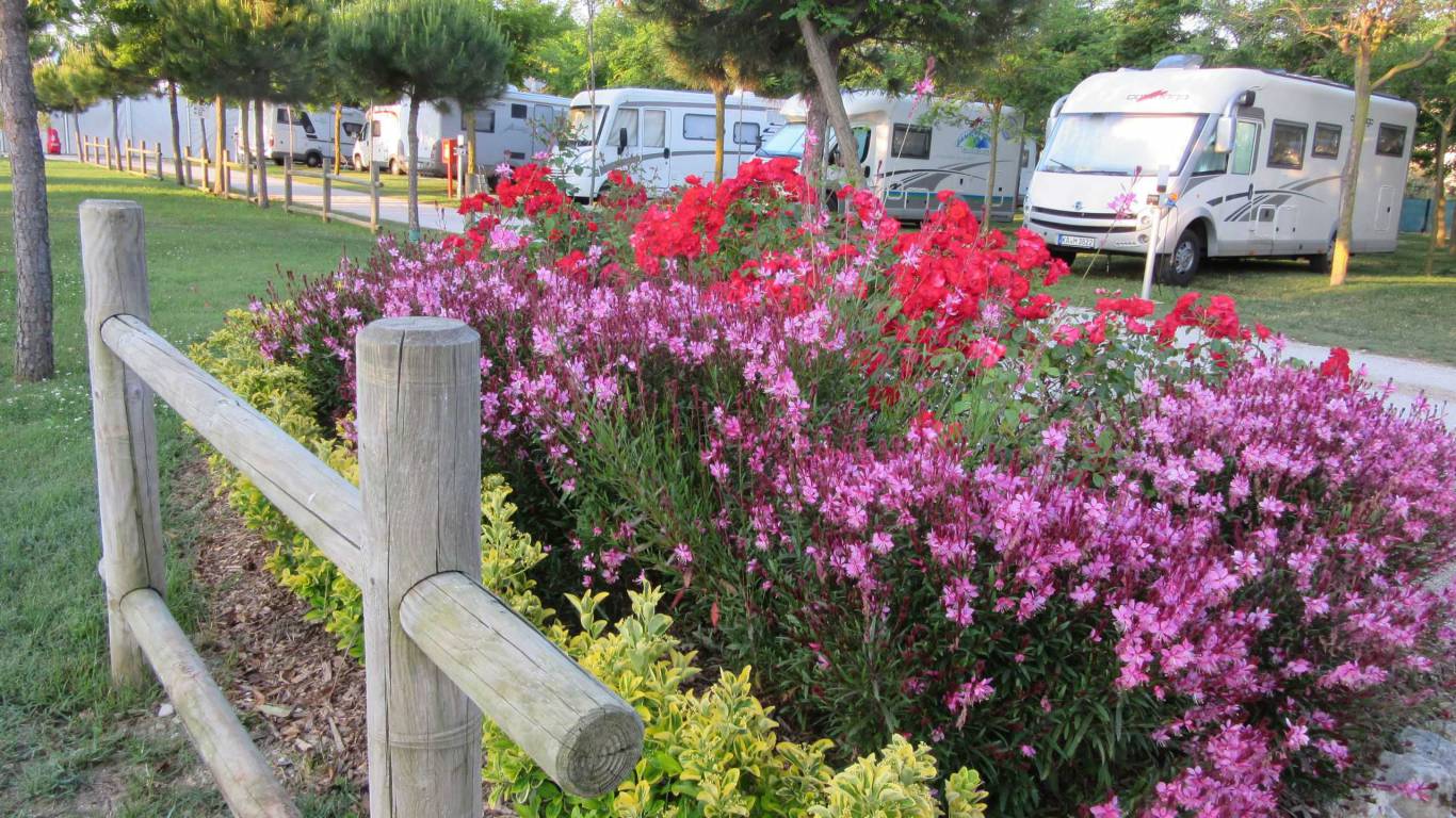 Foto ufficiale Pineto Beach Camping