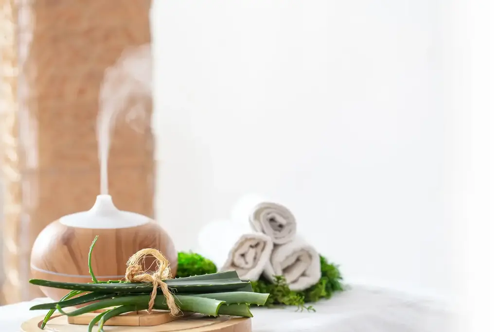 Gestionale Scidoo per SPA terme centri benessere e trattamenti
